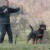 Saskia Vom Hause Neubrand  02